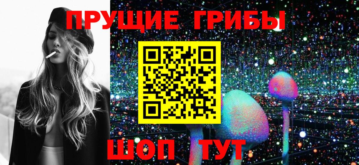 Галлюциногенные грибы ЛСД  Галлюциногенные грибы Cubensis  Вход с VPN  Новокуйбышевск 
